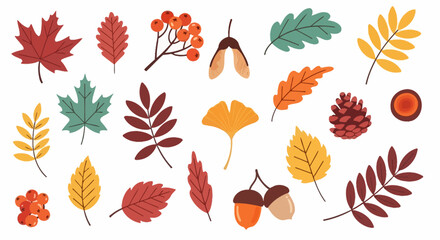 Obraz premium Collection of assorted autumn leaves and foliage arranged in a collage on a neutral background