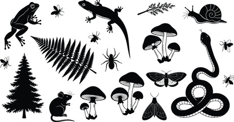 Forest ecosystem silhouette illustration set, multiple black icons animals insects plants mushrooms biodiversity design, vector artwork, nature and environment theme, isolated background ©  BAKKOR