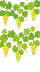 A vibrant digital illustration showing clusters of yellow grapes hanging from green leafy vines against a plain white background