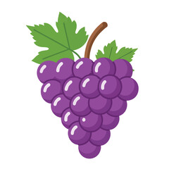 Fresh Purple Grape Cluster on a Vine for Healthy Fruit Consumption and Natural Food Production