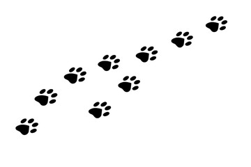 Animal Footprints Simple Design
