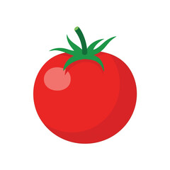 Fresh Ripe Tomato Fruit for Healthy Cooking and Gourmet Recipes