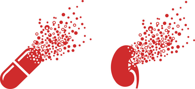 Open capsule and kidney organ with particles medical concept vector illustration isolated