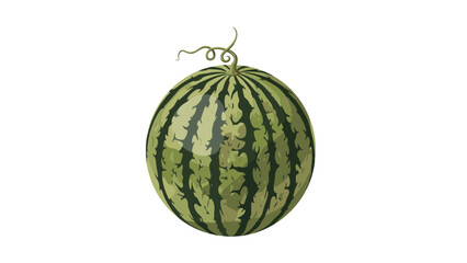 Whole round green watermelon with dark stripes and a curly brown stem isolated on a plain clean white background.