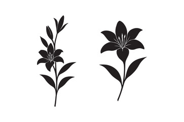 Elegant black silhouette illustration of two lily flowers with stems and leaves against white