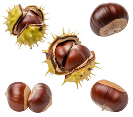 Chestnuts and spiky brown shells spiky shells isolated isolated on a transparent background