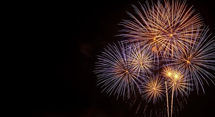 Obraz premium Vibrant fireworks explode in the night sky, displaying colorful patterns and lights, captured from a low angle viewpoint Whisk_fb7fd218130c2bfa3ba4d2f93bea0fb9dr