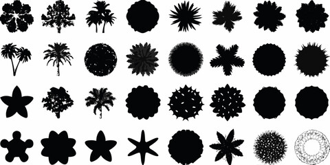 Collection of diverse silhouetted tree and plant top views