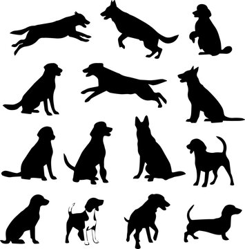 Silhouette Assorted Breed Dog Animal Pet Mammal Set Illustration