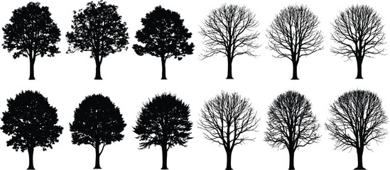 Vector collection of black deciduous tree silhouettes with foliage and bare branches, isolated forest nature elements for landscape design and architectural projects. © Shilpi