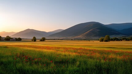 Obraz premium Serene Landscape of Rolling Hills and Colorful Wildflowers at Sunrise with a Clear Blue Sky and Gentle Light Reflecting on the Meadow