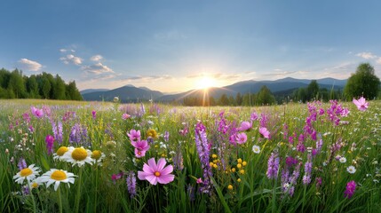 Fototapeta premium Vibrant Wildflower Field at Sunrise with Lush Green Landscape and Majestic Mountains Under Clear Blue Sky