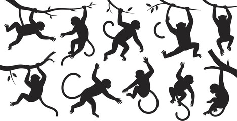 Monkey silhouettes collection with climbing, swinging and hanging poses on tree branches isolated on white background, jungle primate vector illustration set © Nur