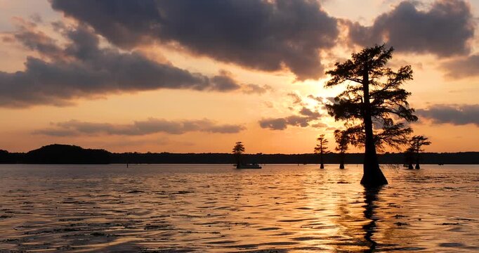 Golden sunset reflecting on rippling water with a cypress tree silhouette under a cloudy sky