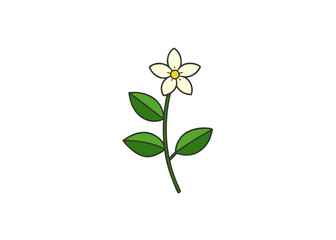 Elegant Jasminum grandiflorum vine, symbolizing clarity with delicate white flowers and graceful green leaves, natural beauty.