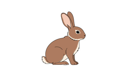 Obraz premium A brown rabbit with long ears and a white tail patch sits sideways on a plain white background.