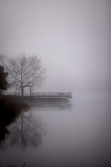 foggy morning on the river