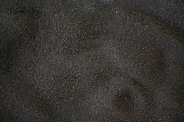 Black Tea Powder or dry dust with or without green leaf and served.