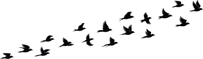 Obraz premium Bird flight silhouettes vector illustration, sequential wing positions showing natural motion, dynamic avian design for wildlife, nature, outdoor, educational, artistic themes