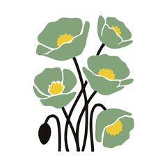 Hand drawn sage green poppy flowers illustration