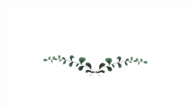 Minimalist Green Leaf Branch Design Element on White Background.