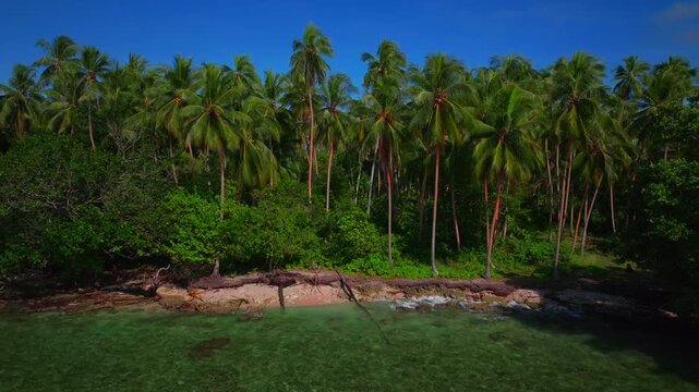 Wewak Sepik Region Madang aerial drone Papua New Guinea PNG Papua Niugini sunny waves pristine untouched palm trees coastline coral reef Yuo Musho Island Boram Meni Beach Bismarck Salomon Sea upwards