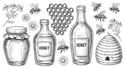 Honey and bees vector illustration with honeycomb and hive elements