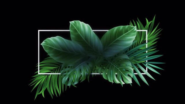 Lush Tropical Foliage with White Frame on Black Background.