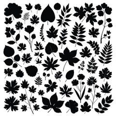 Obraz premium Diverse collection of black silhouettes of leaves and flowers on a white background, showcasing various shapes and sizes in a visually appealing arrangement.