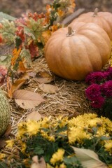 autumn garden with pumpkins and flowers
