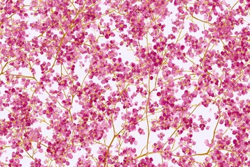 Fototapeta premium Abstract Floral Composition of Pink and White Blossoms on Golden Branches