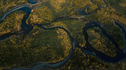 Aerial view of a winding river through lush green and yellow forestland