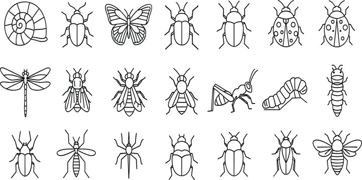 Hand-drawn insect and bug outline icon set featuring beetles, butterflies, bees, ants, caterpillars, and dragonflies in black line vector style