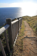 愛媛県愛南町　高茂岬の風景