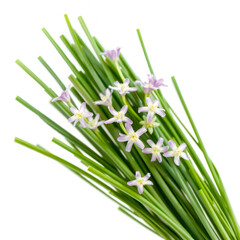 Chive blossoms as a garnish or mixed into butter isolated on transparent background