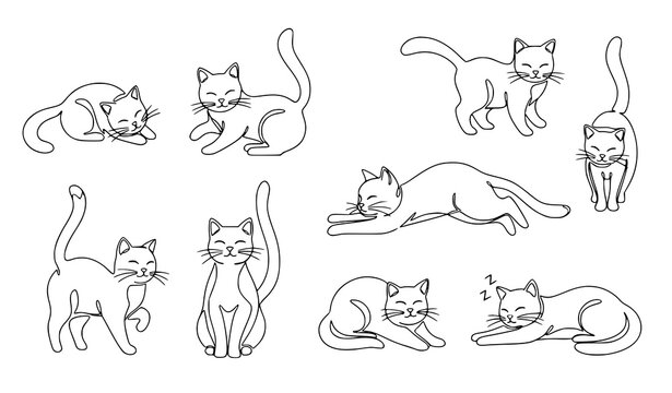
Hand drawn continuous line doodle cat vector collection with cute kitten poses