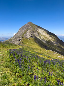 Mountain landscape at Giferspitz peak near Gstaad, Bernese Alps, Switzerland