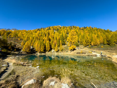 Lac Bleu Surrounded by Golden Larches &ndash; Arolla, Val d&rsquo;H&eacute;rens, Swiss Alps