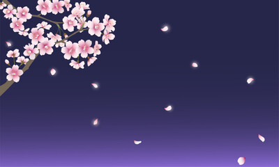 散る桜の花(ネイビー背景）
