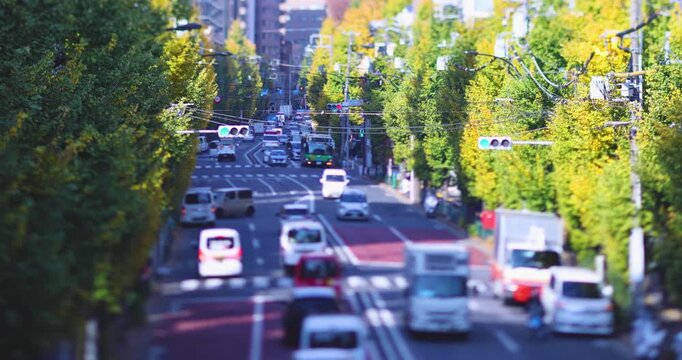 A cityscape of miniature traffic jam at the yellow gingko street in Tokyo