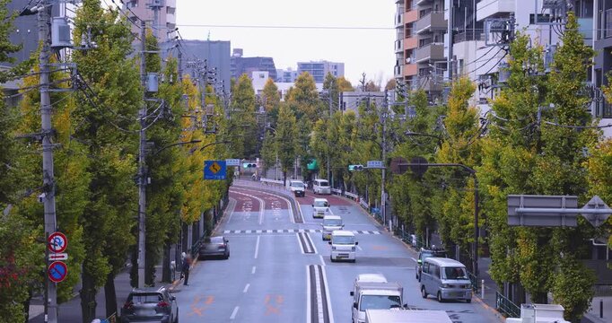 A cityscape of traffic jam at the yellow gingko street in Tokyo