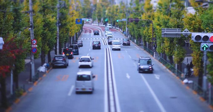 A cityscape of miniature traffic jam at the yellow gingko street in Tokyo