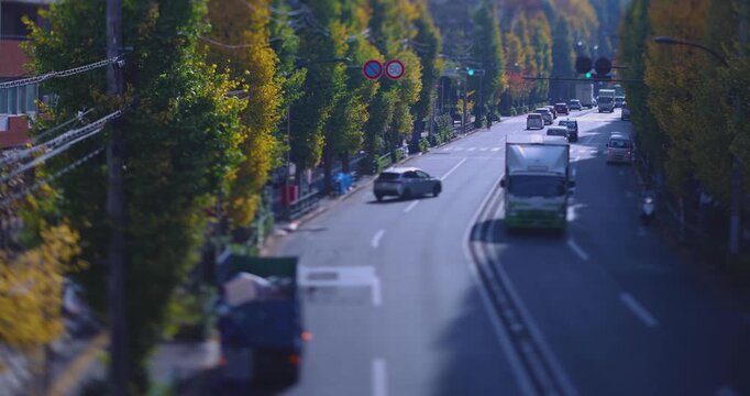 A cityscape of miniature traffic jam at the yellow gingko street in Tokyo