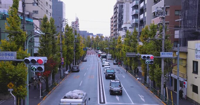 A cityscape of traffic jam at the yellow gingko street in Tokyo wide shot