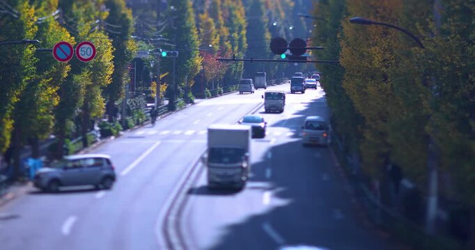 A cityscape of miniature traffic jam at the yellow gingko street in Tokyo