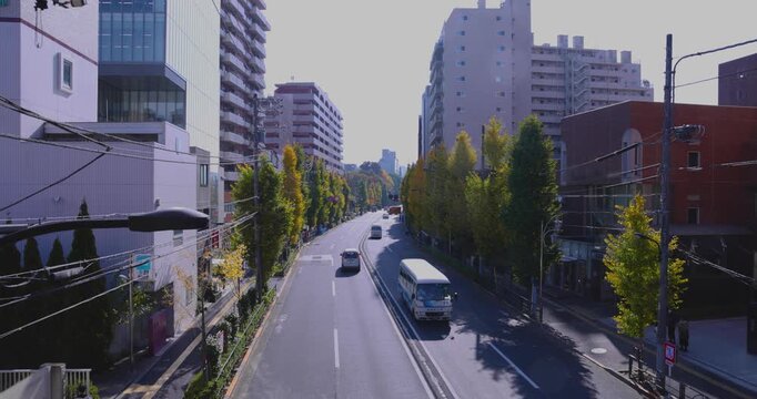 A cityscape of miniature traffic jam at the yellow gingko street in Tokyo