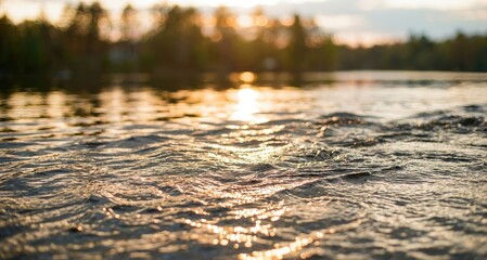 Fototapeta premium Sunlight reflecting on water, creating beautiful golden sparkles.