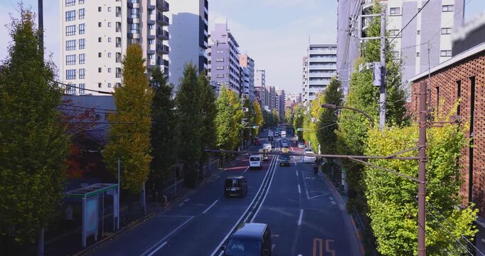 A cityscape of traffic jam at the yellow gingko street in Tokyo wide shot