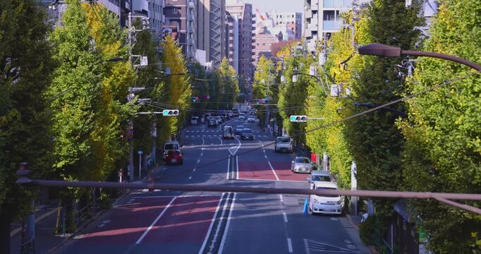 A cityscape of traffic jam at the yellow gingko street in Tokyo telephoto shot