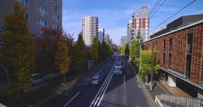 A cityscape of traffic jam at the yellow gingko street in Tokyo wide shot